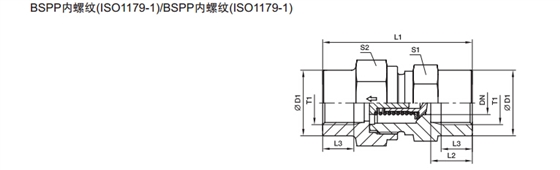 RHDI 單向閥 英制內(nèi)螺紋-2.jpg